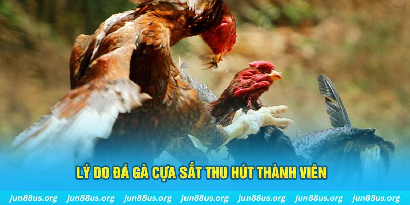 vip 79 chiếm slot là gì