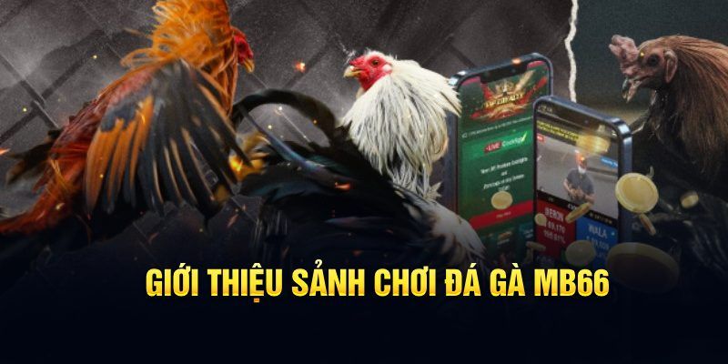 đăng nhập poker hôm nay